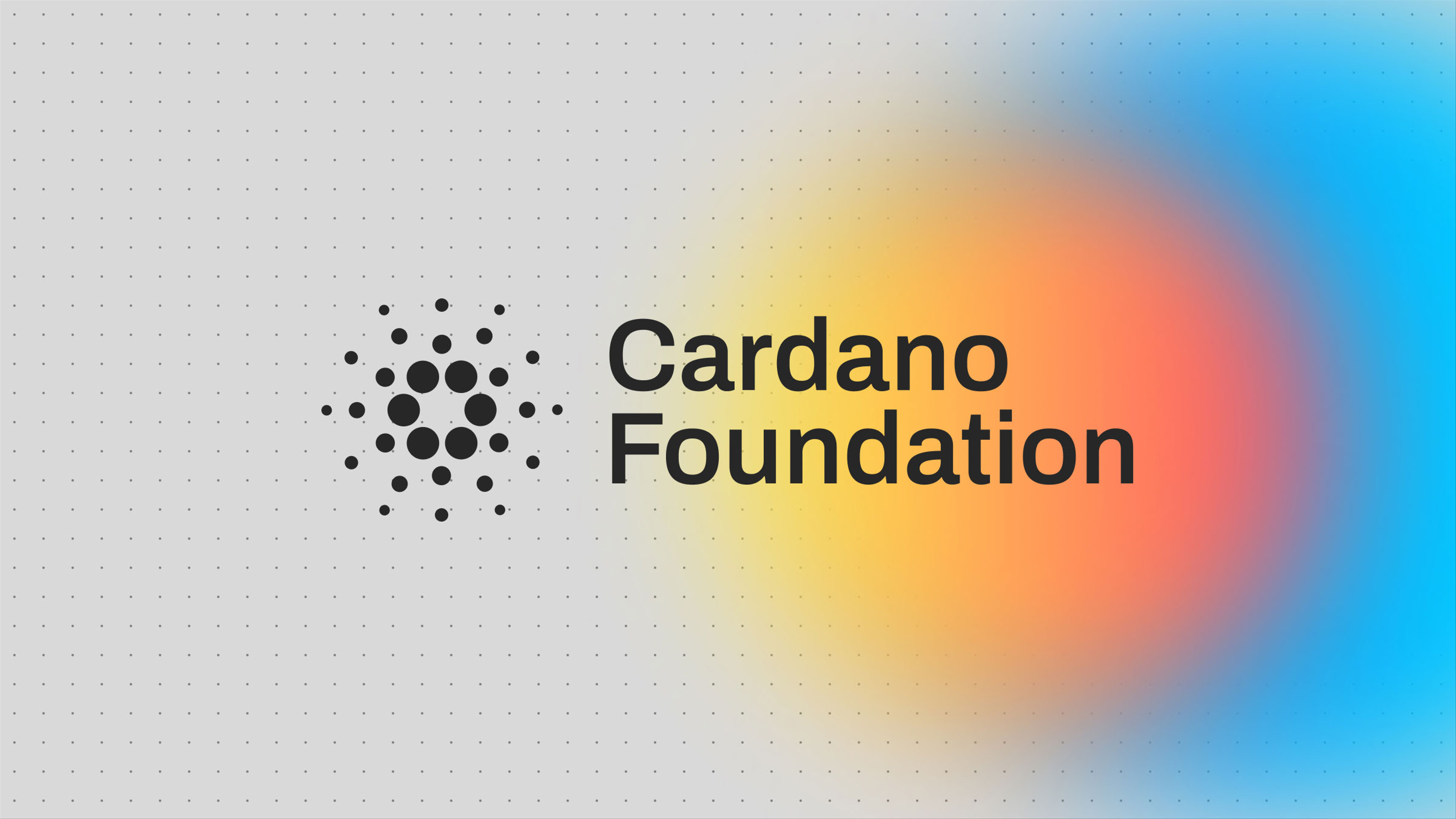 Cardano Foundation logo over a rainbow gradient.