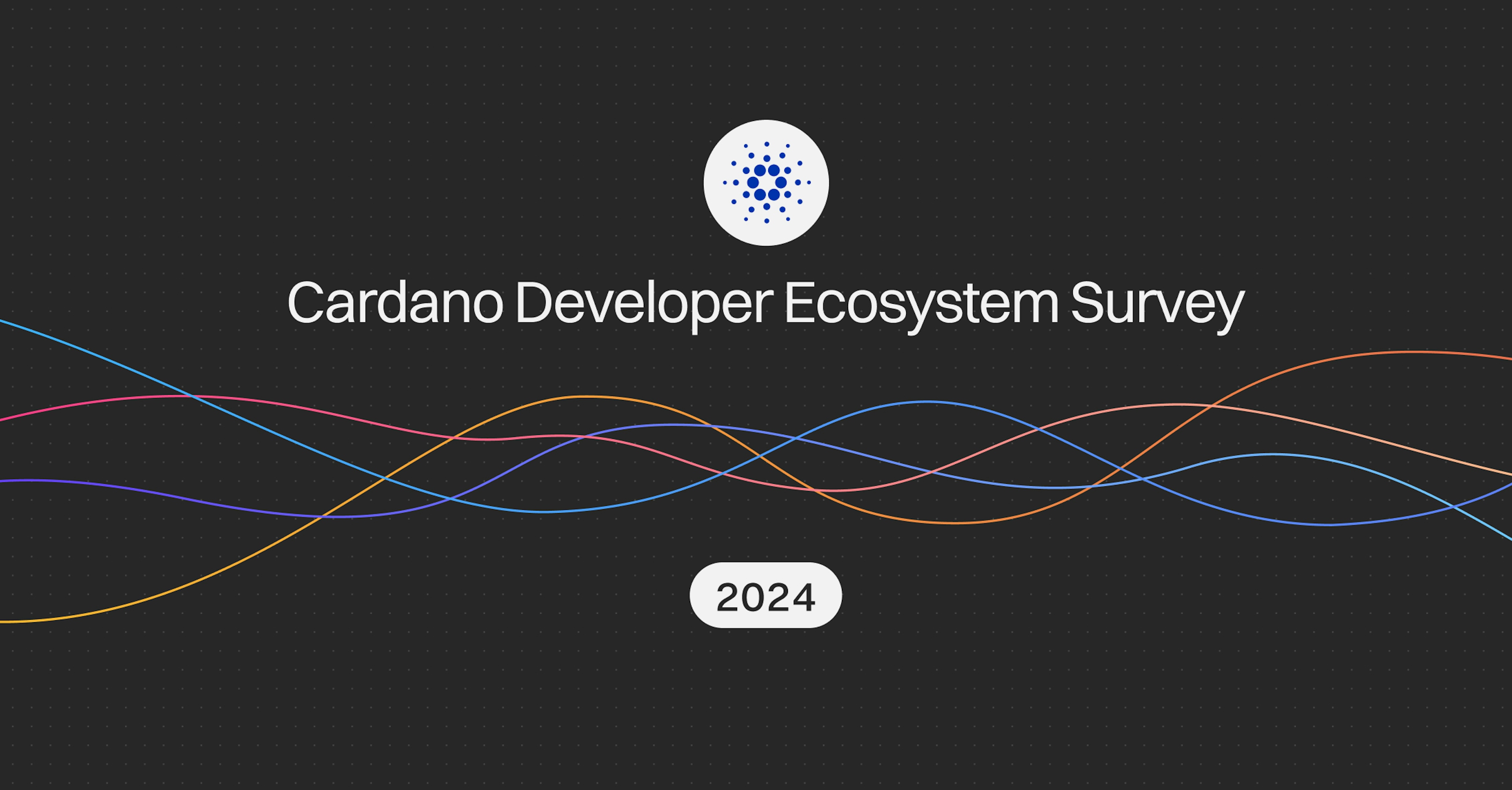 A black image that says Cardano Developer Ecosystem Survey 2024.