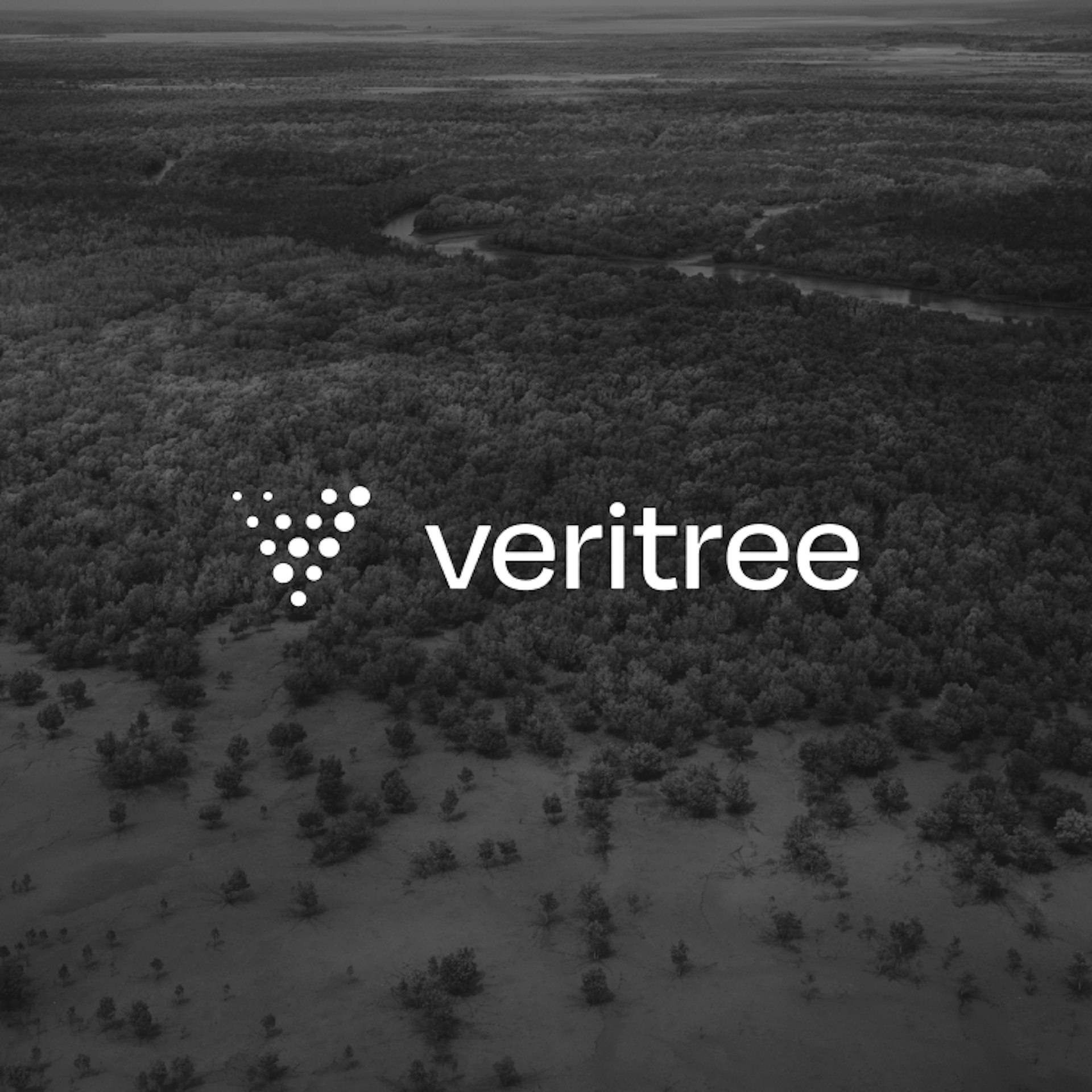 An image that says "veritree" over a photo of a large forest.