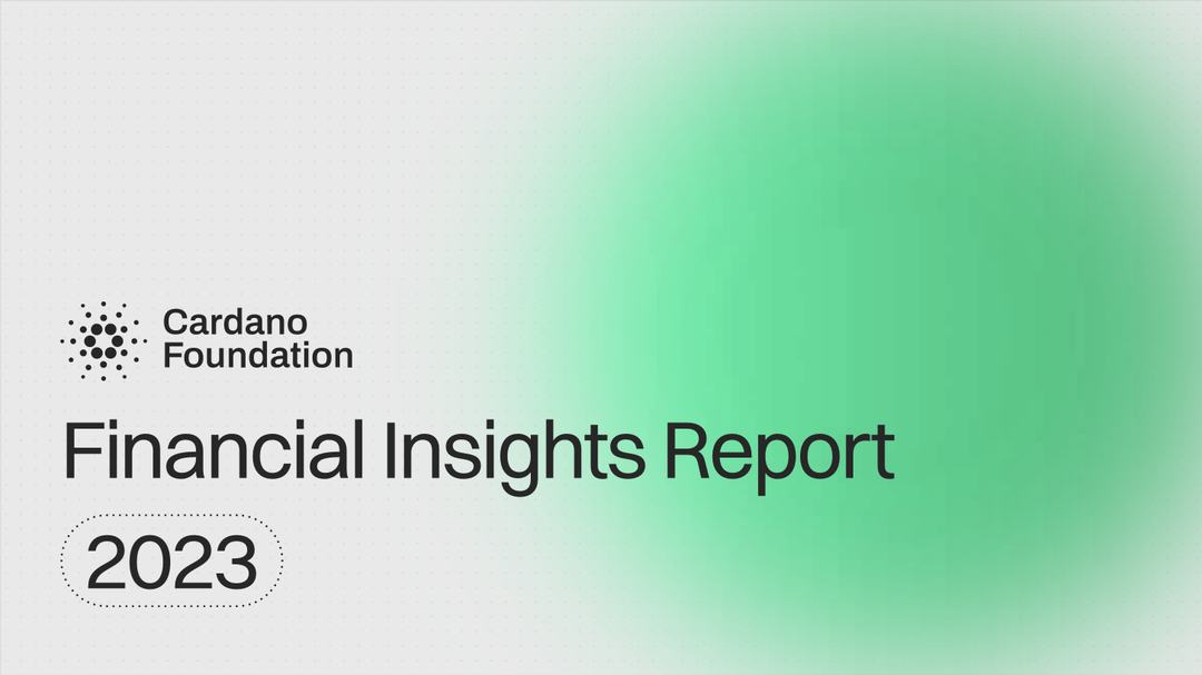 Financial Insights Report 2023