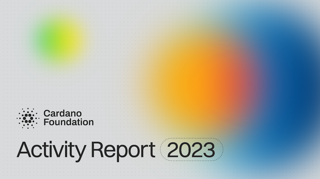 Activity Report 2023