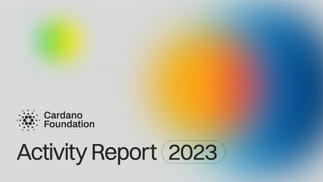 Activity Report 2023