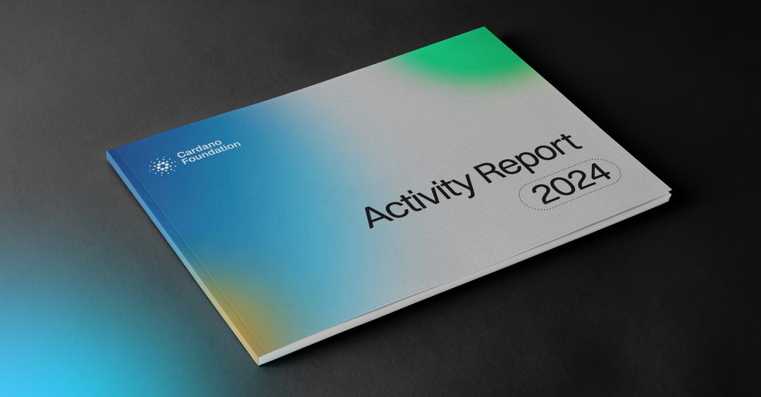 Activity Report 2024